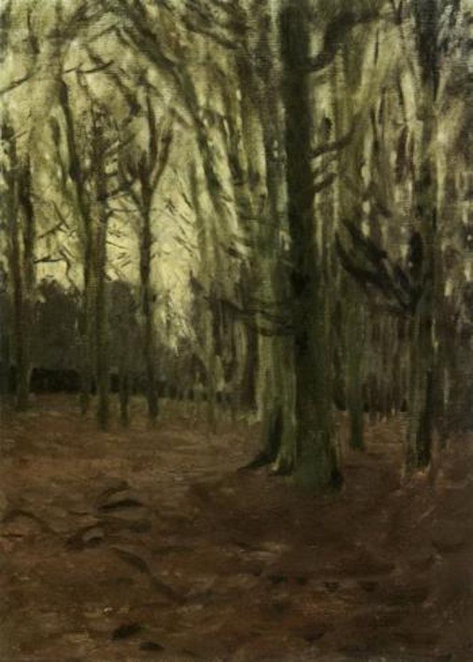 Evening time in forest at Weyerberg by Hans am Ende