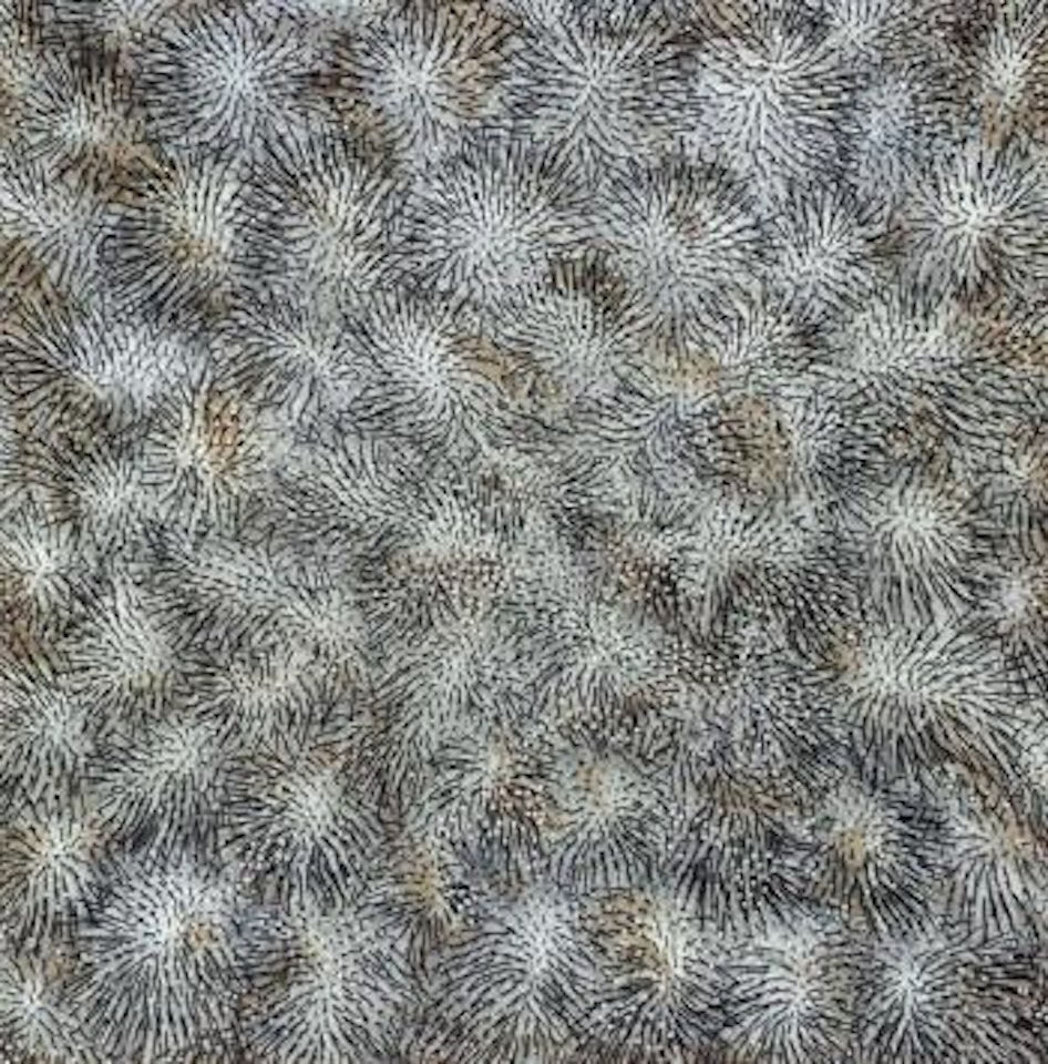 Field by Günther Uecker