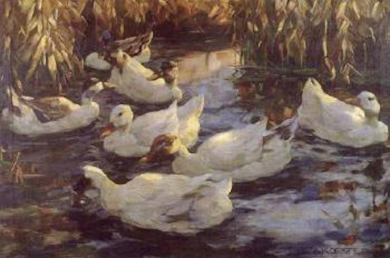 Ducks on a pond by Alexander Koester