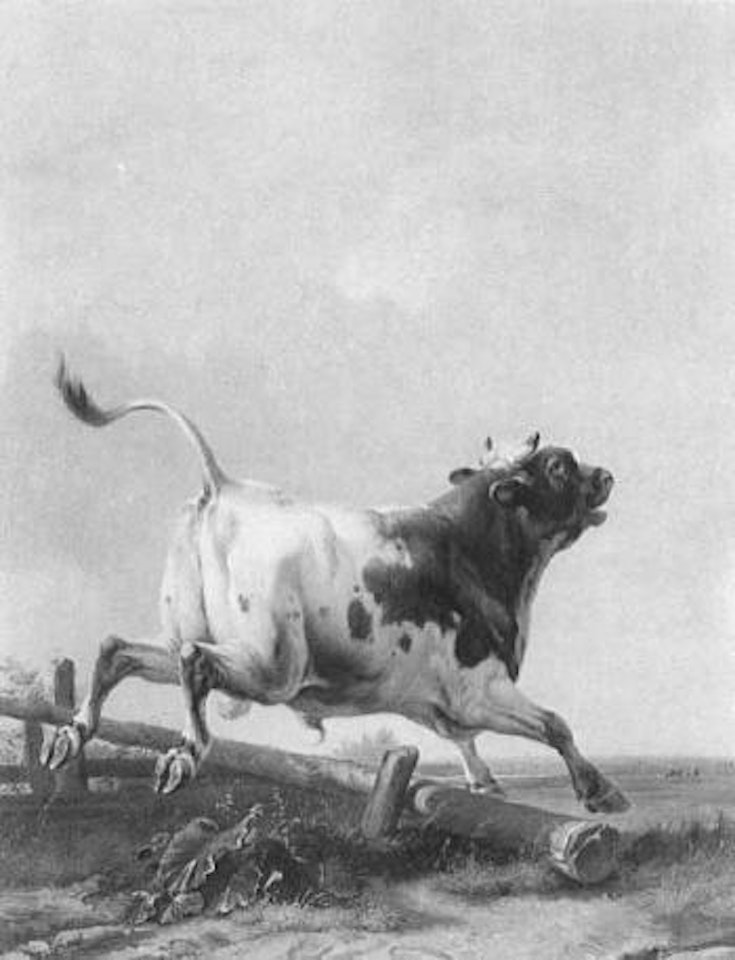Bull leaping a fence by Eugène Joseph Verboeckhoven