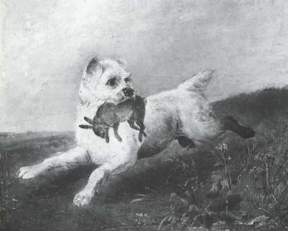 Terrier with rabbit by Richard Ansdell