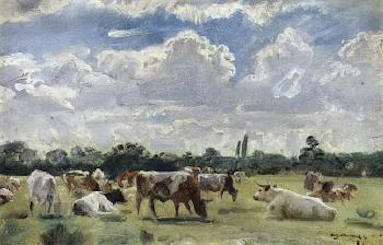 Cattle study no 4 by Alfred James Munnings