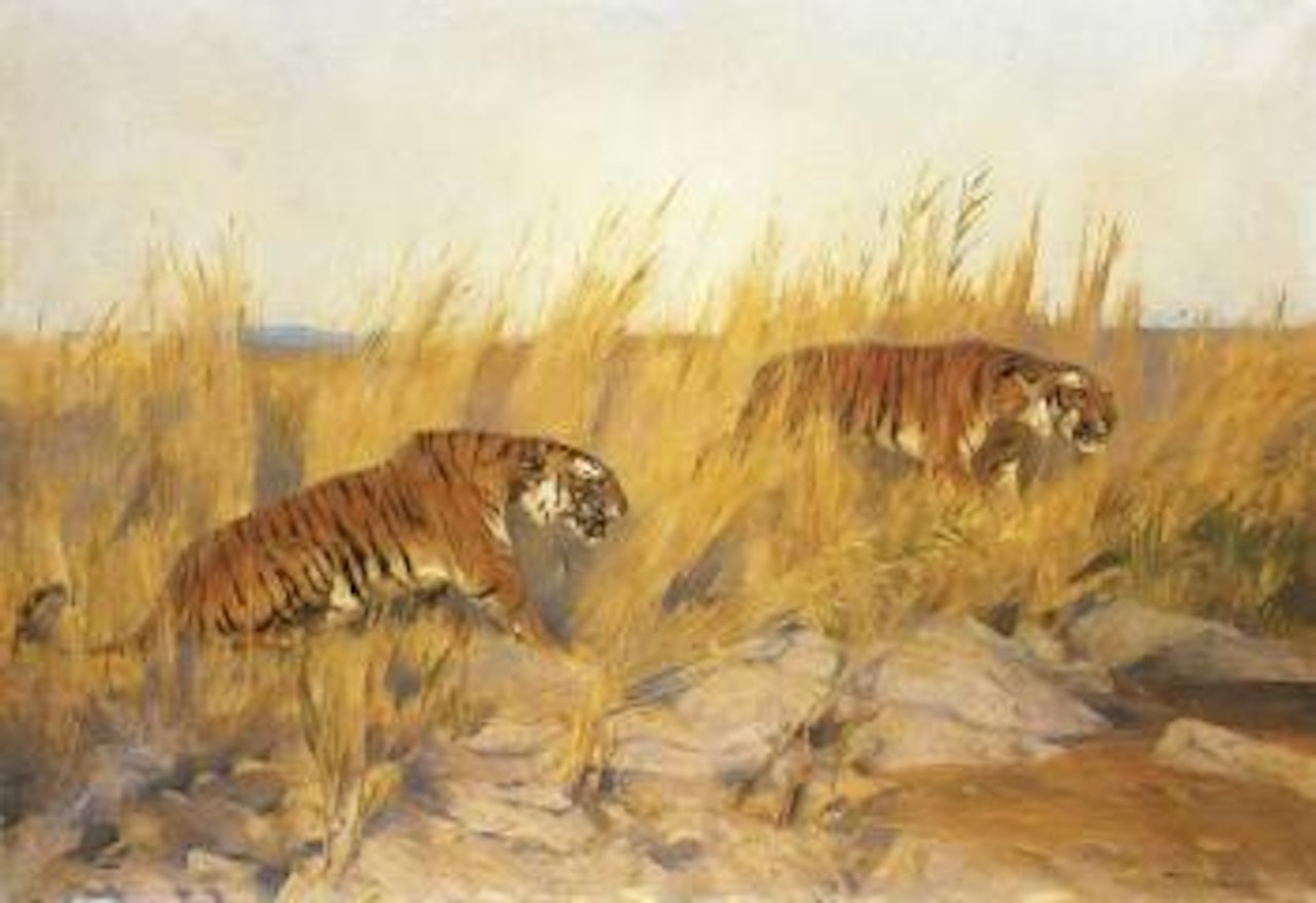 Tigers by Arthur Wardle