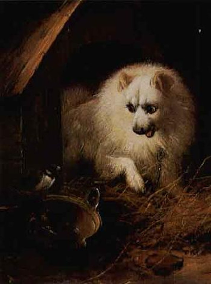 Meal time by Henriette Ronner-Knip