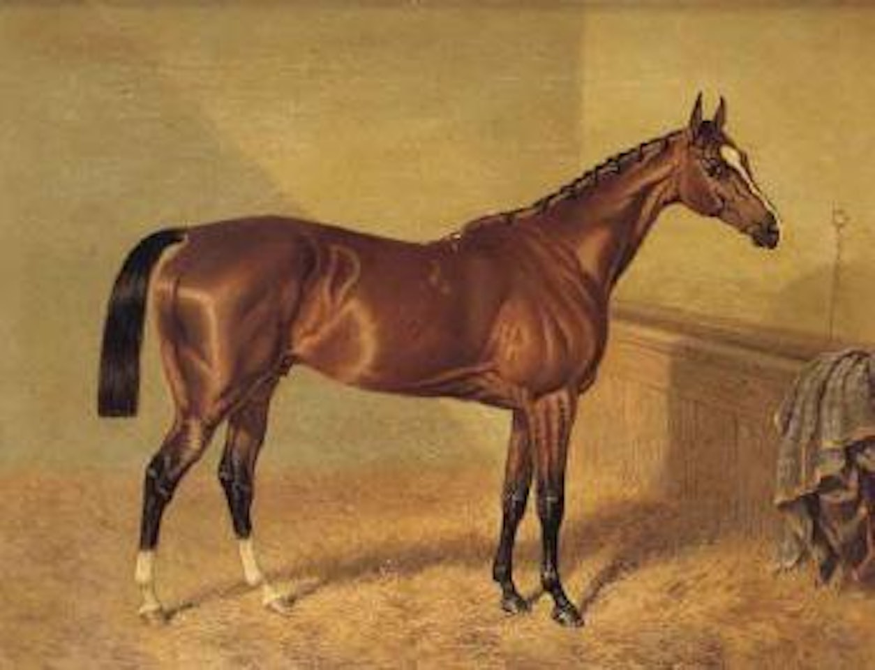 Orlando, a bay racehorse in a loosebox by John Frederick Herring