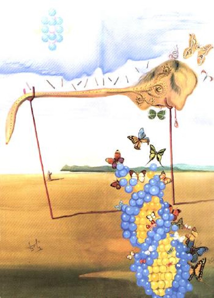 Paysage aux papillons et raisins by Salvador Dali