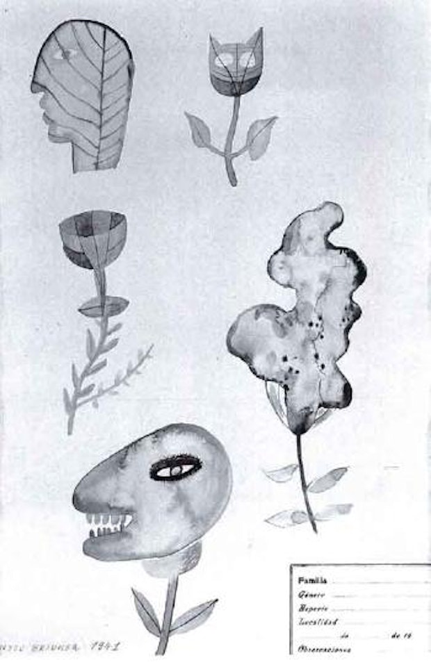 Formes vegetales by Victor Brauner