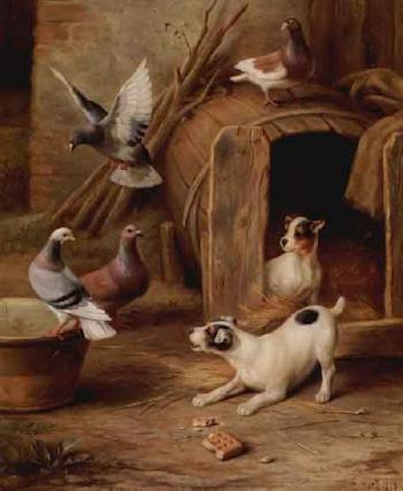 Taking the biscuit by Edgar Hunt