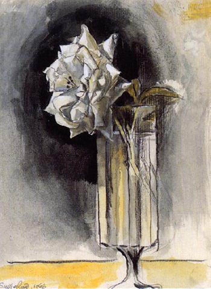 White rose in a vase by Graham Sutherland