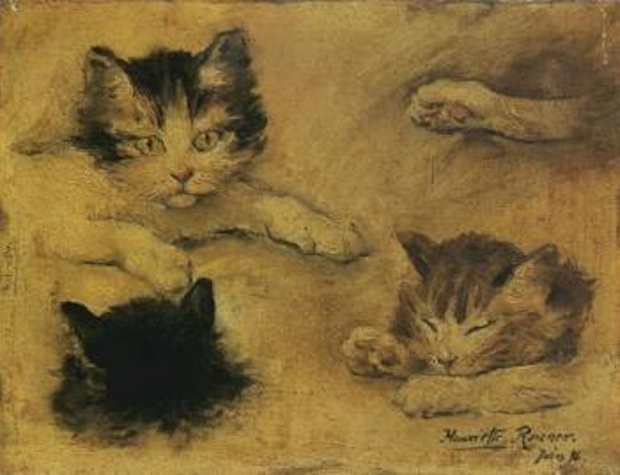 A study of kittens by Henriette Ronner-Knip