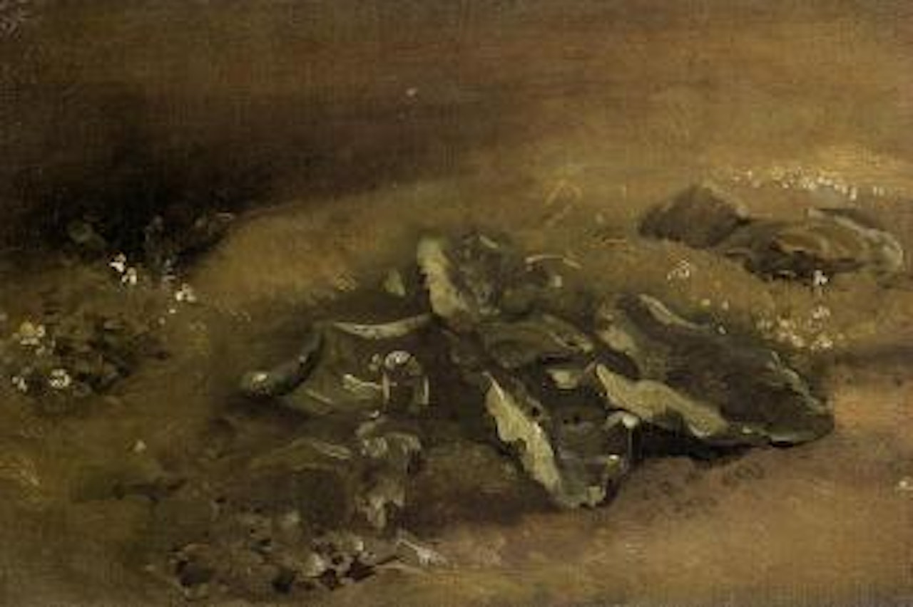 Study of burdock by John Constable