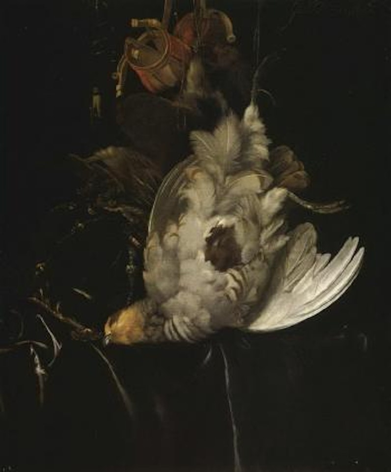 Dead partridges, hawks hoods and powder horn hanging above draped ledge by Willem van Aelst