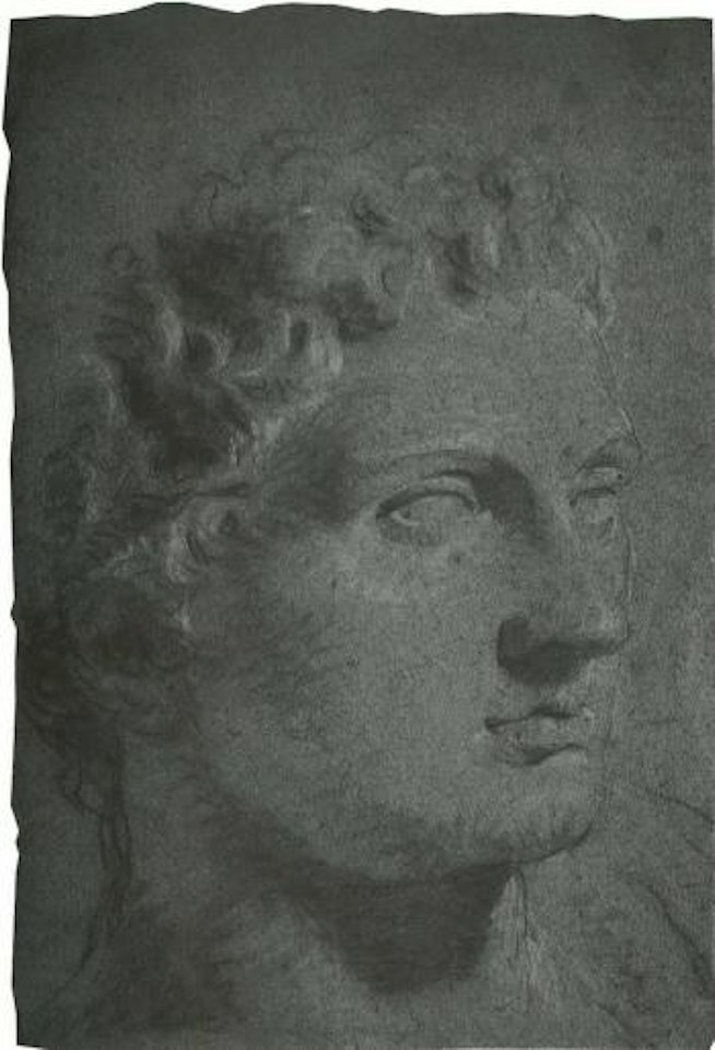 Head of a man by Giovanni Battista Tiepolo