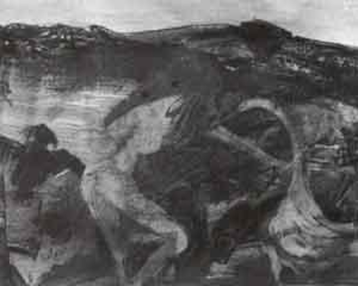 Leda and the Swan by Sidney Nolan