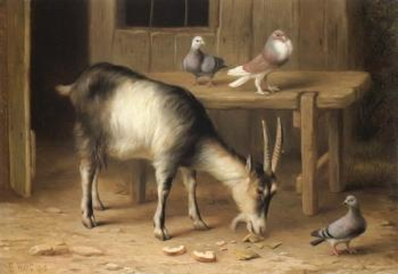Goat and pigeons in a farmyard by Edgar Hunt