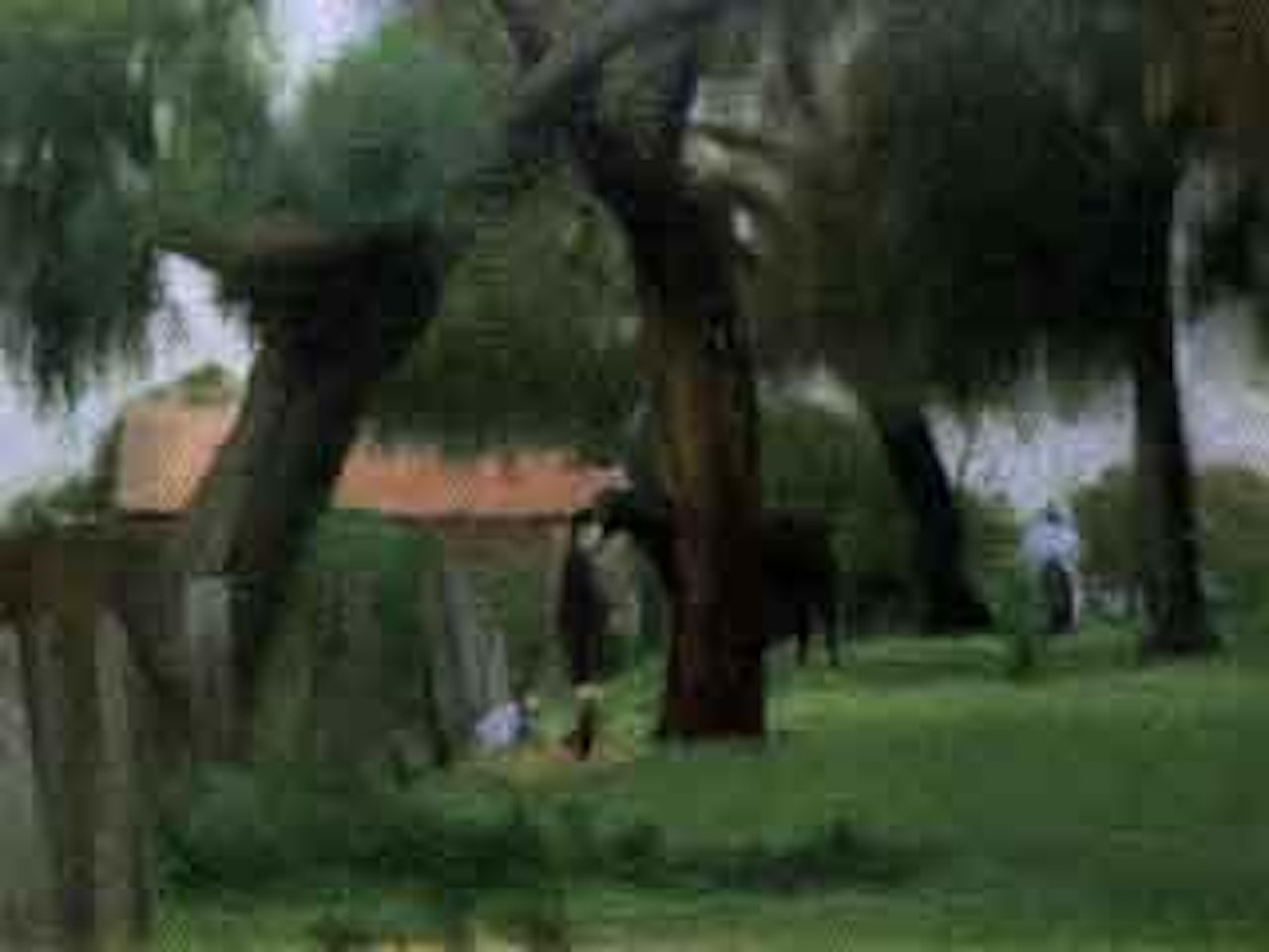 Country scene by Clarice Beckett