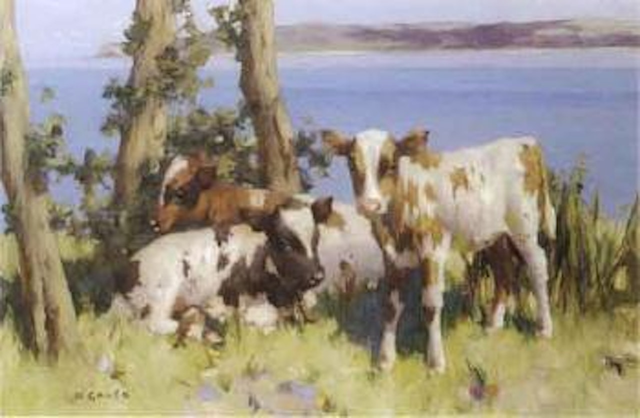 Mid summer by David Gauld