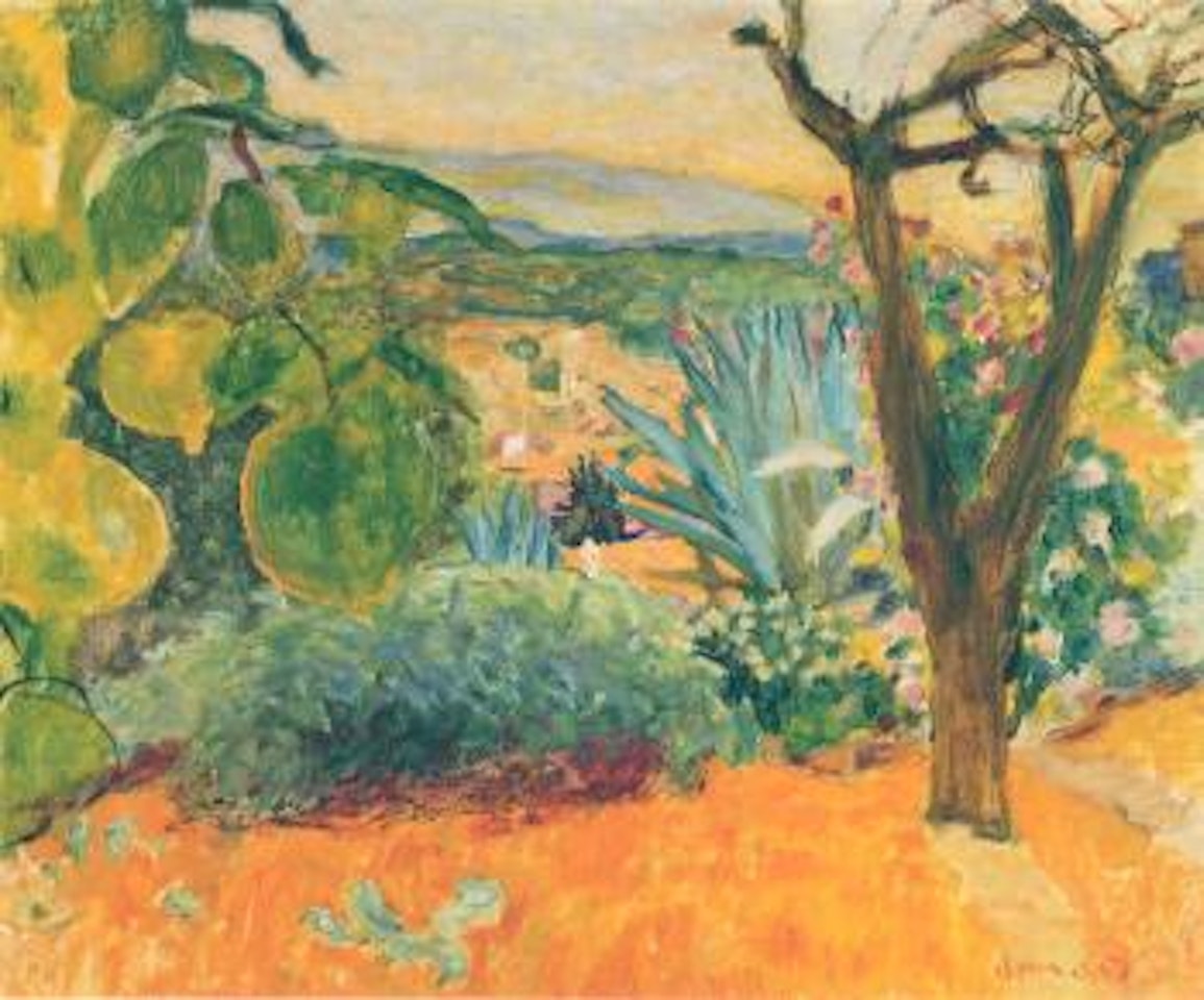 Le cannet by Pierre Bonnard
