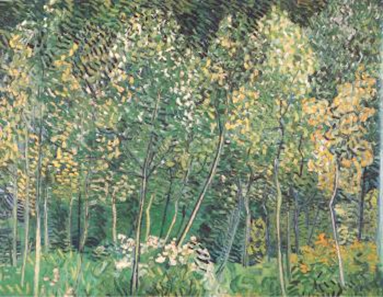 Sous-bois by Vincent van Gogh