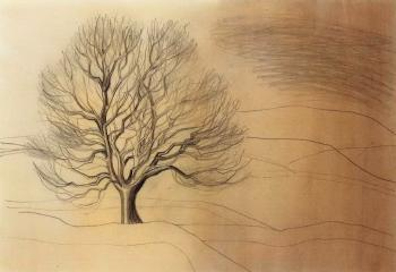 Tree, Derbyshire by Ben Nicholson, O.M.