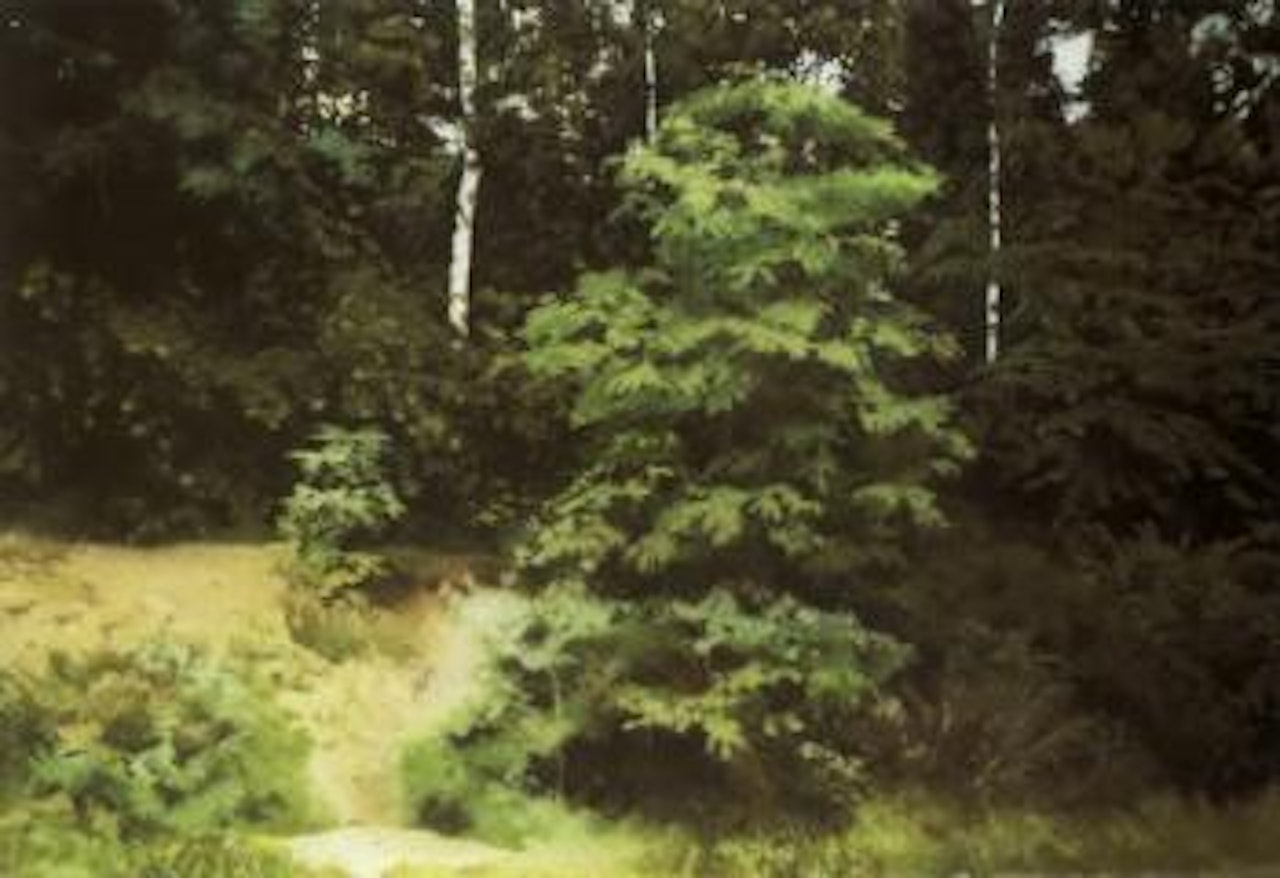 Woodland by Gerhard Richter