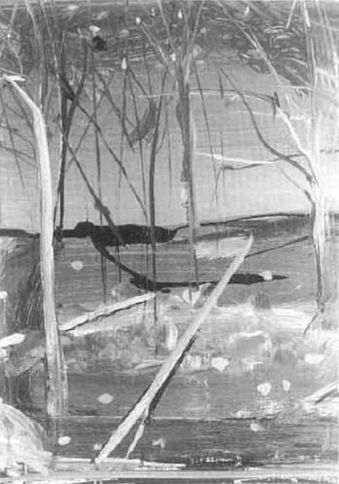 Shoalhaven landscape by Arthur Merric Bloomfield Boyd