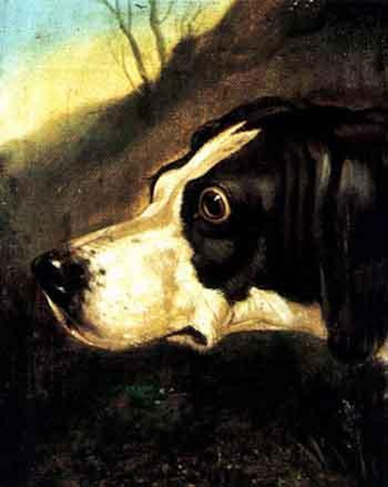 English hunting dogs by Thomas Sidney Cooper