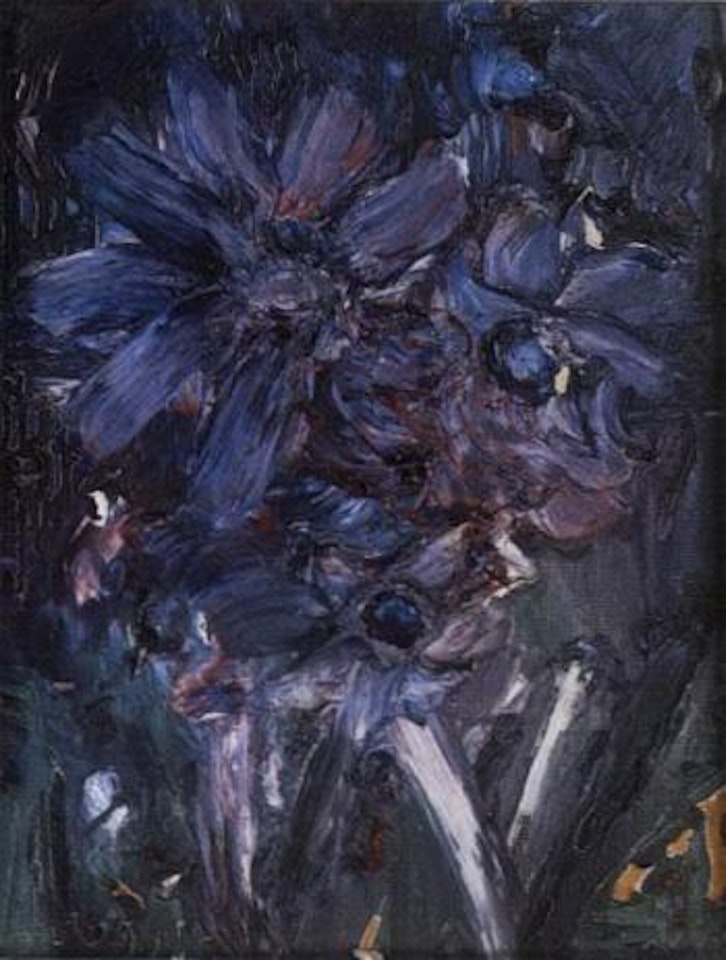 Flowers by Thanos Tsingos