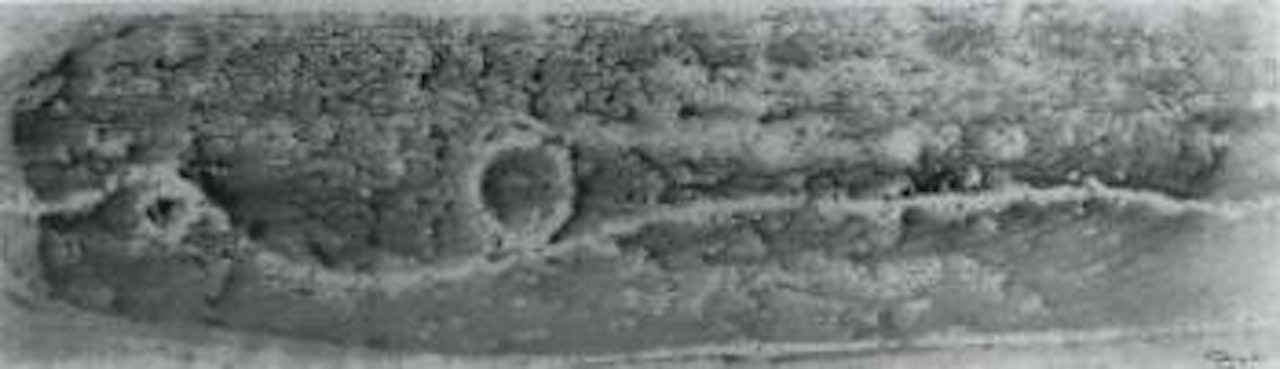 The Serpent of Wisdom by Mark Tobey