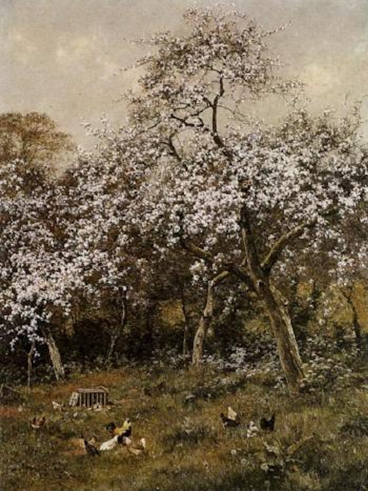 Blossom by Edward Wilkins Waite