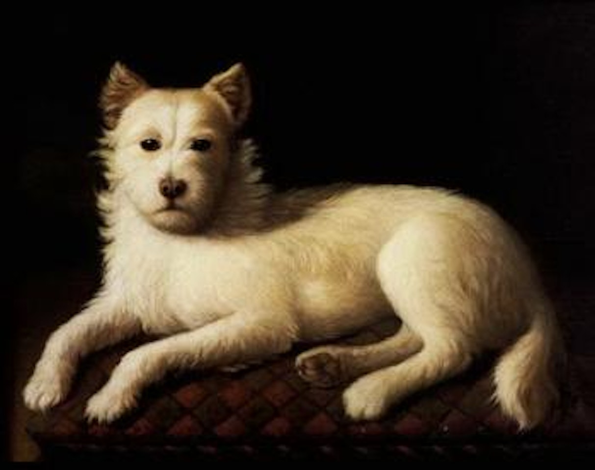 Long-haired terrier seated on a mat by English School