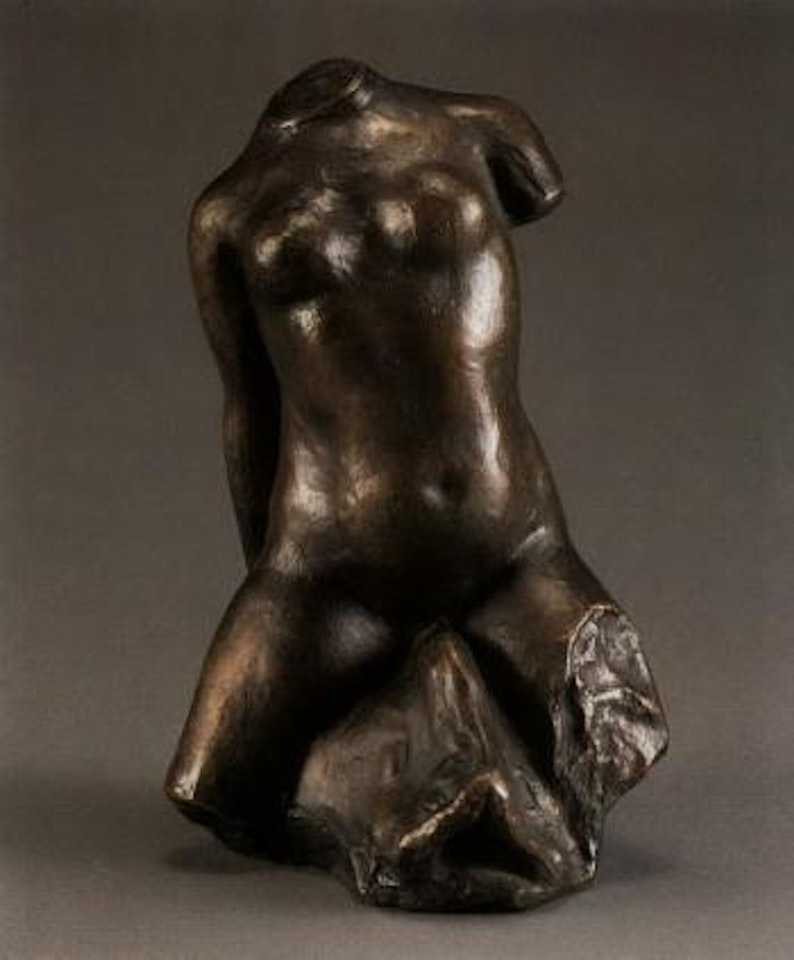 Torse sur le dauphin by Aristide Maillol