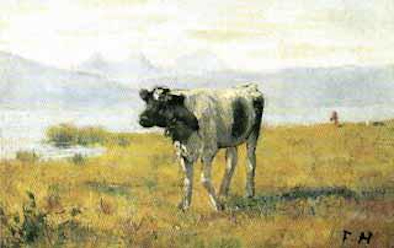 Calf by lake by Ferdinand Hodler