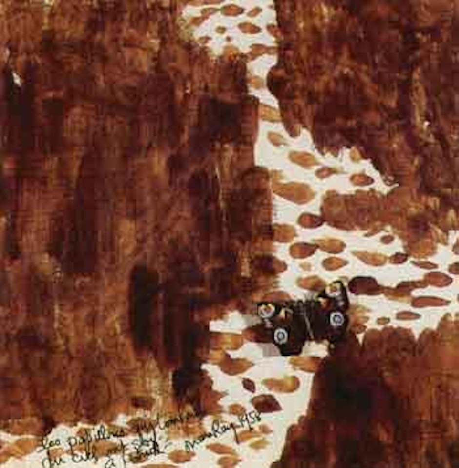 Les papillons qui tombent du ciel ont soif by Man Ray