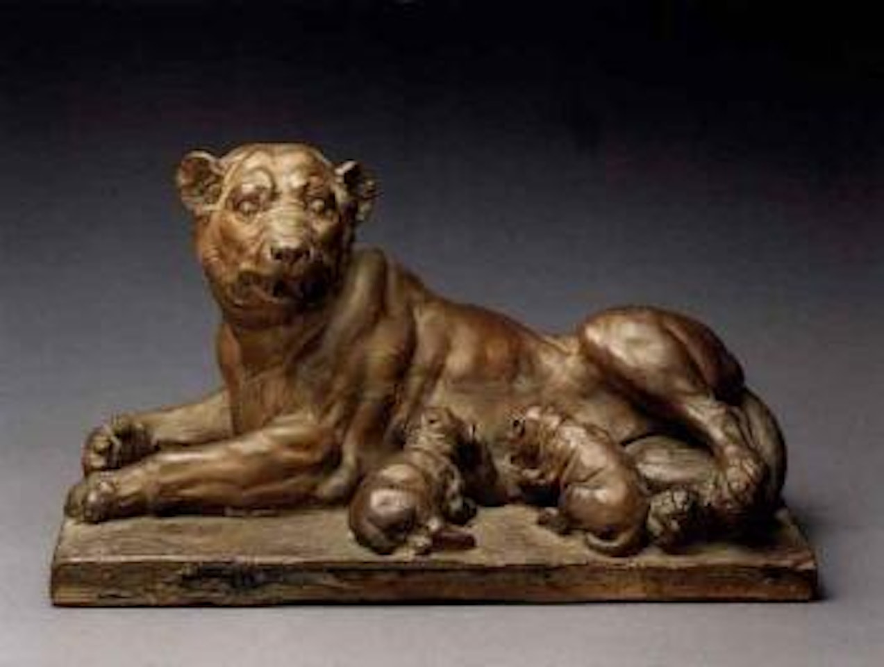 Lioness suckling cubs by French School