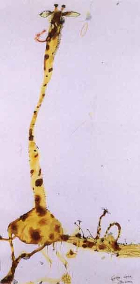 Giraffes, Kenya by John Olsen