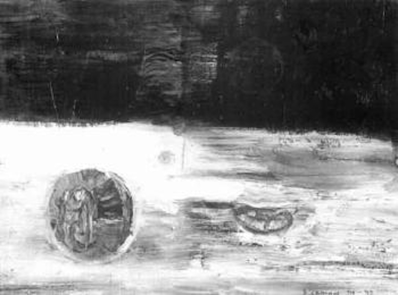 Big worlds II by Shane Cotton