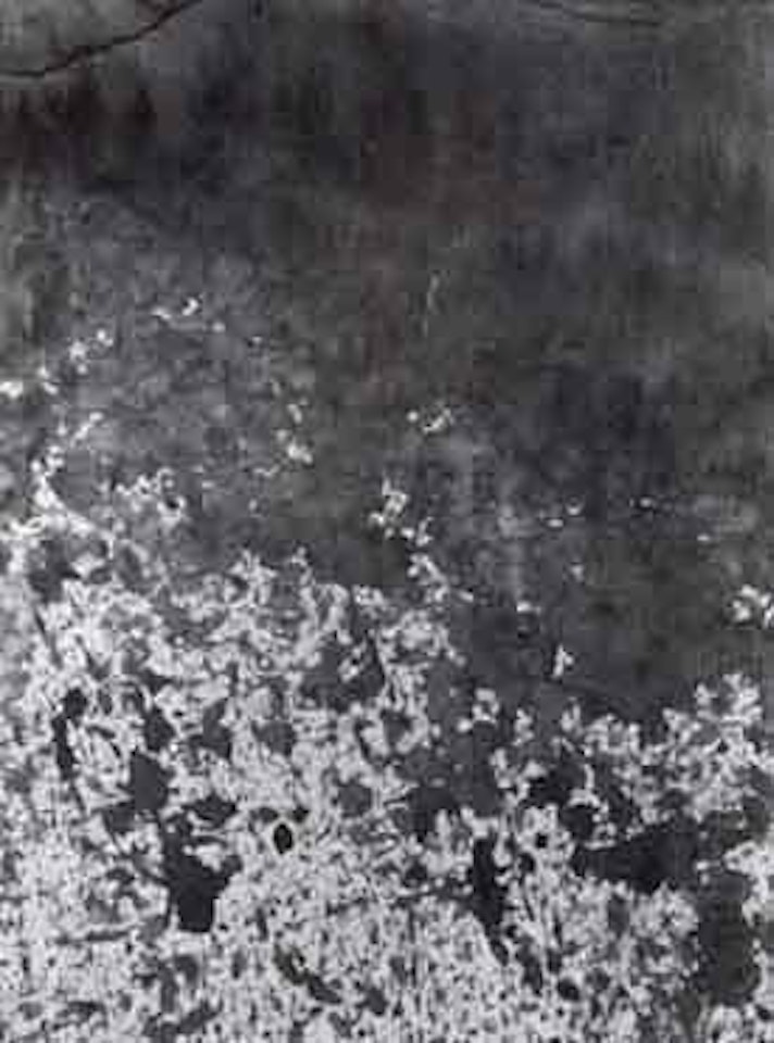 Relikt, 3 Tage Fest by Hermann Nitsch