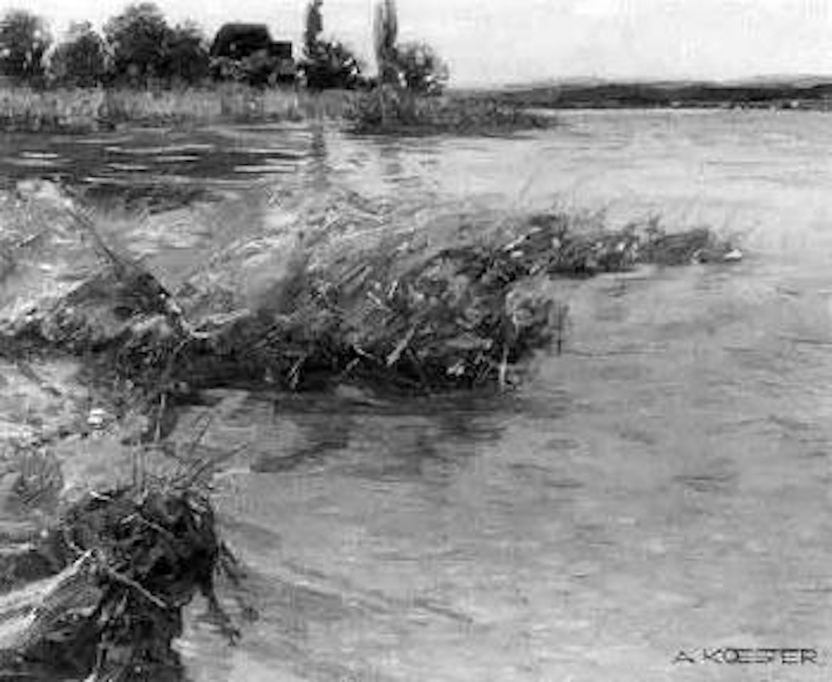 View of the Gnadensee by Alexander Koester