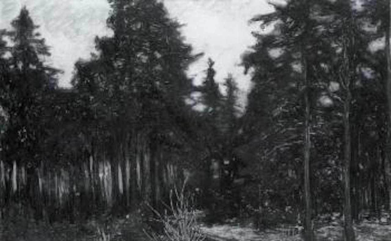 Fohrenhain by Hans am Ende