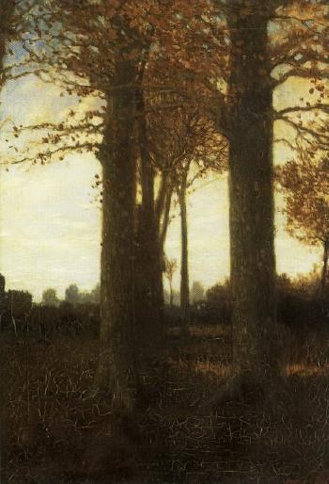 Autumn evening in the marshes by Hans am Ende