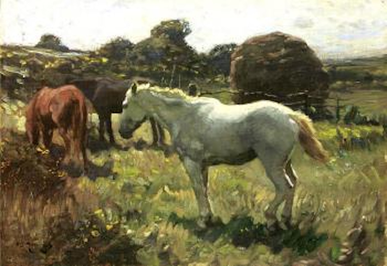 The white pony by Alfred James Munnings