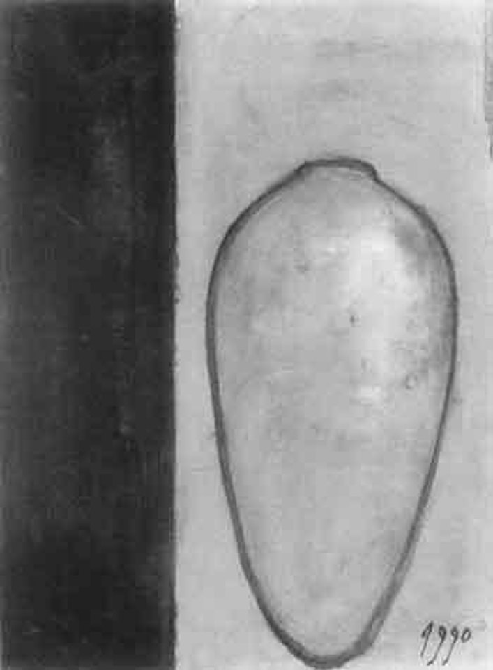 Senza titolo by Piero Pizzi Cannella