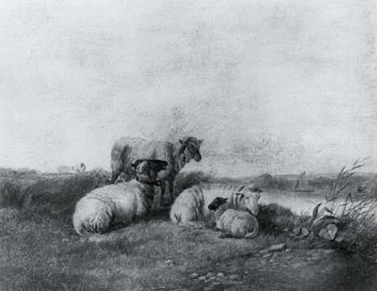 Sheep resting near lake by Thomas Sidney Cooper
