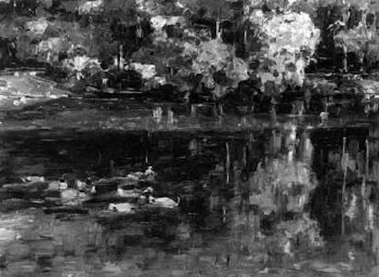 Ducks on woodland pond by Alexander Koester
