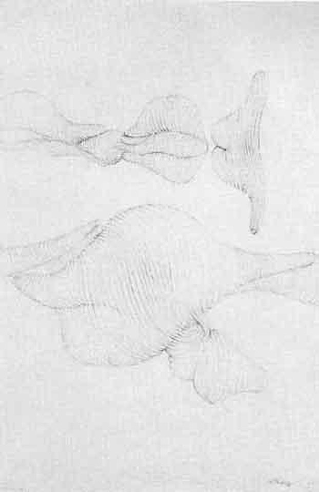 Composition by Hans Bellmer