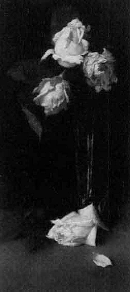 Vase de roses by Victoria Fantin-Latour