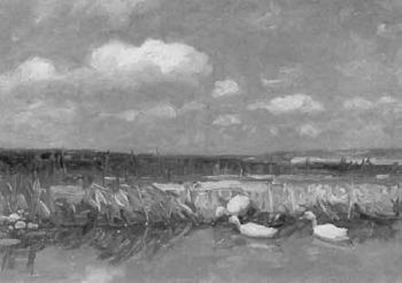 Ducks on pond by Alexander Koester