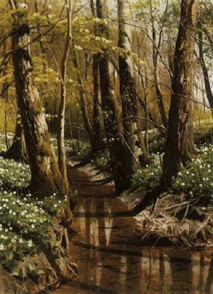 Woodland stream by Peder Mork Monsted