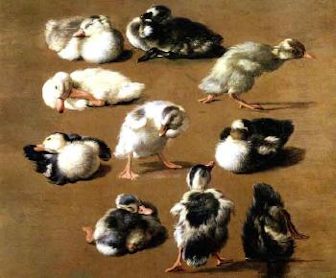 Study of ten chicks in various poses by Melchior de Hondecoeter
